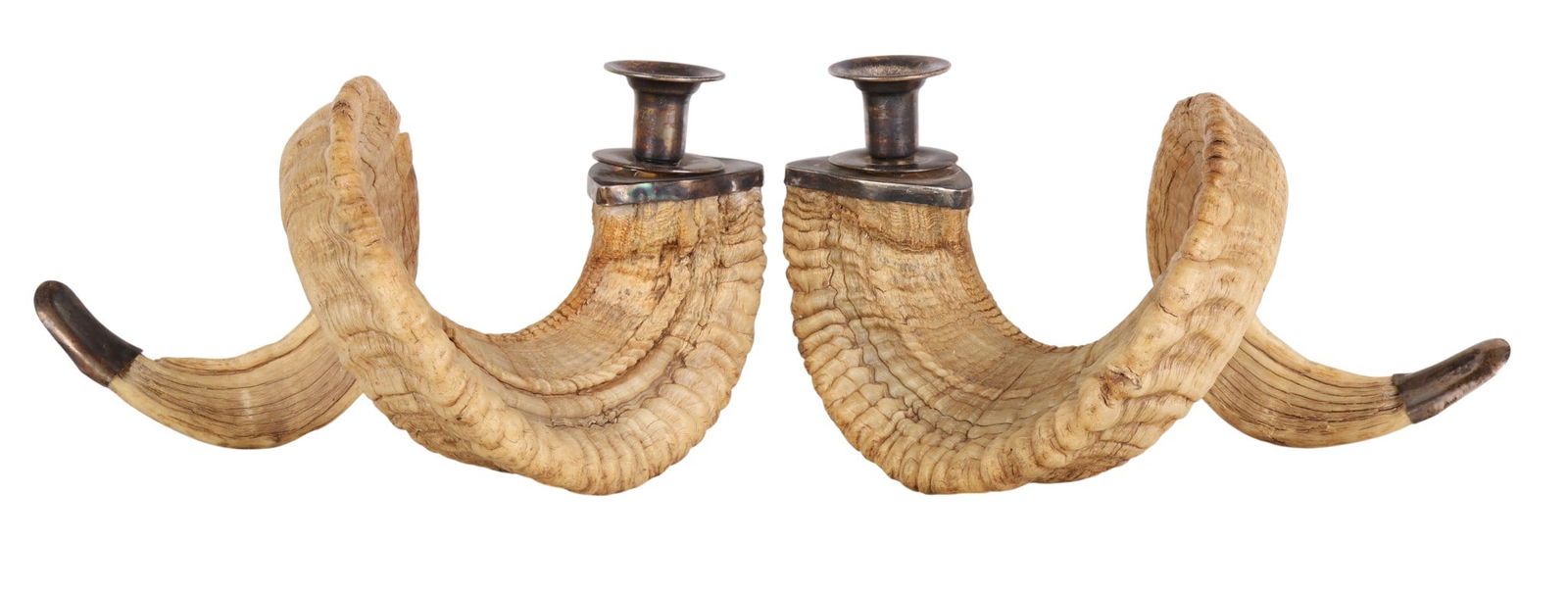 Pair of Vintage Ram's Horn & Brass Candle Holders: Pair vintage ram horn candle holders blending natural elements brass candle cups. Holders feature large naturally curled ram horns as the base topped with candleholders. Exhibiting a mid century moder