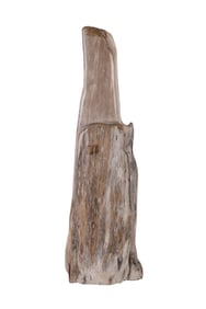 Natural Petrified Drift-Type Wood Specimen 11,220g