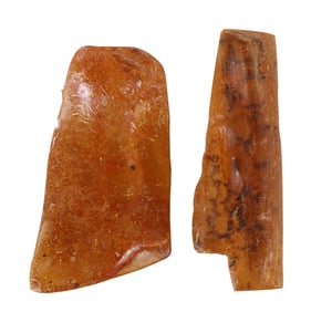 Natural Raw Organic Honey Amber Specimens 2pc LOT