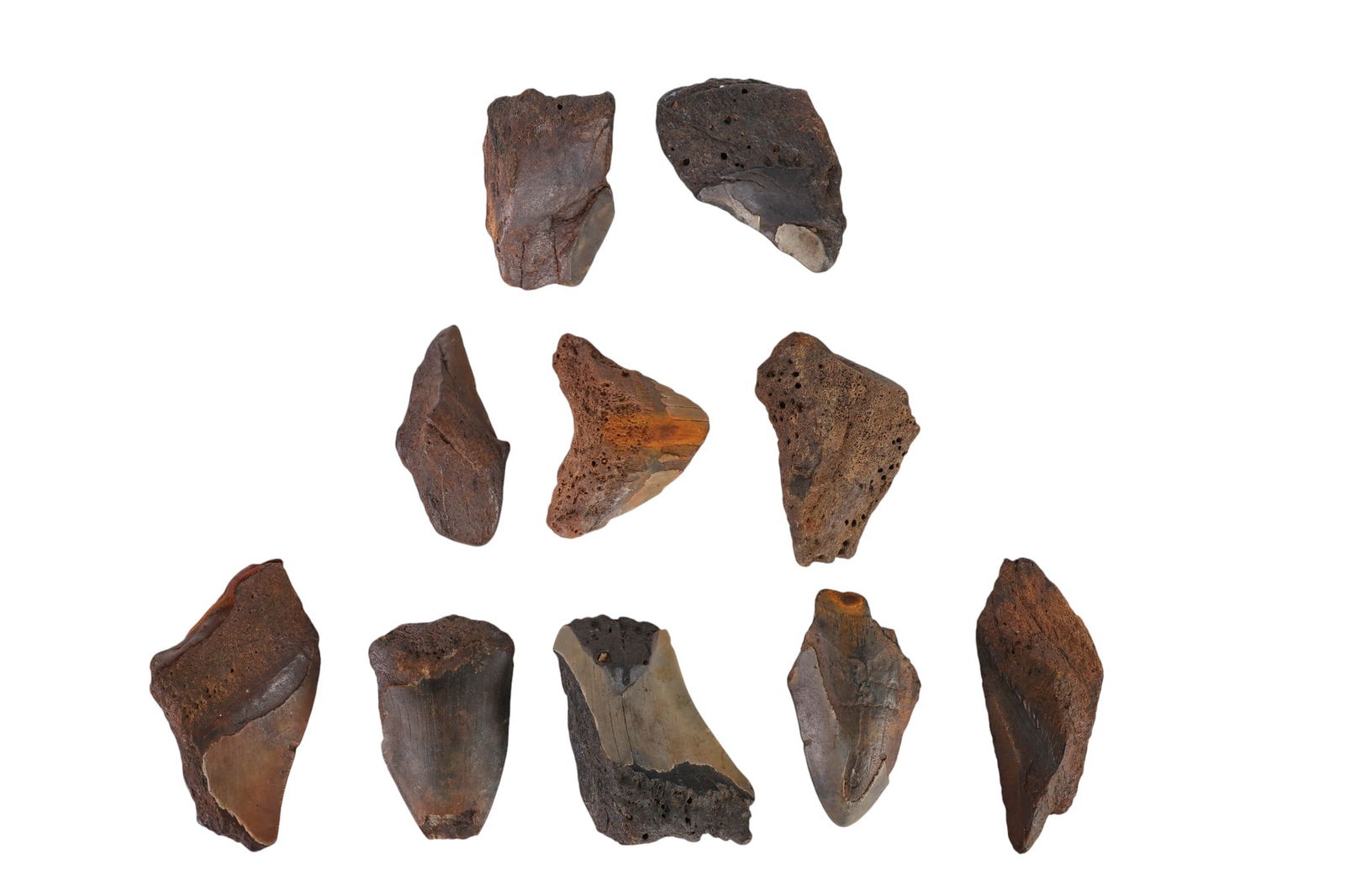 Natural Fossilized Shark Tooth Fragments 10pc LOT (1 of 6)