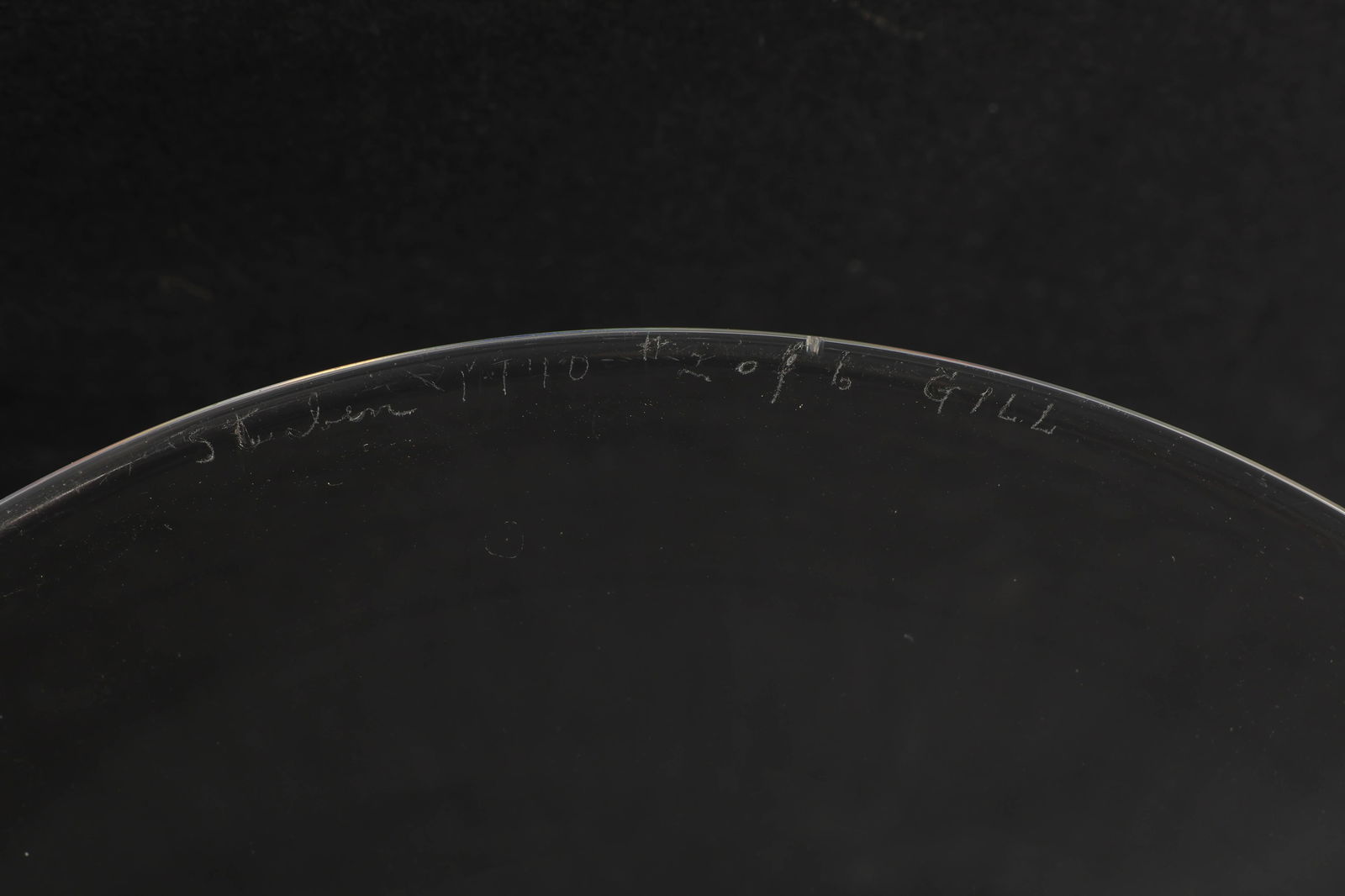 Steuben Crystal Fluted Vase & Toasting Goblet LOT - 9