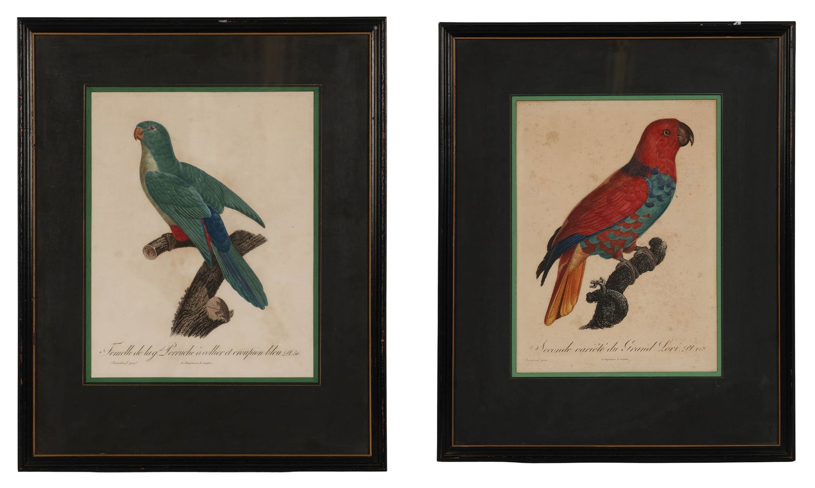 Jacques Barraband 1768-1809 Parrot Engravings LOT (1 of 8)