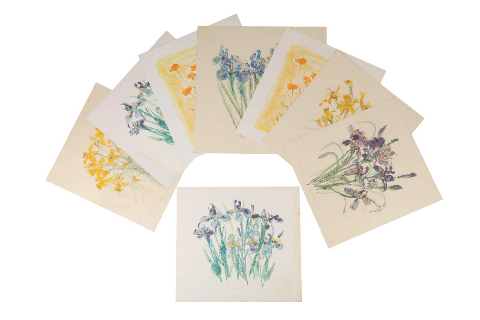 Zella Funck 1917-2009 Monotype Prints 7pc. SIGNED: Zella Funck (American, 1917-2009), estate collection of seven monotype floral prints on paper featuring studies of daffodils, orange marigolds, Louisiana iris, and wild iris compositions. Executed in 