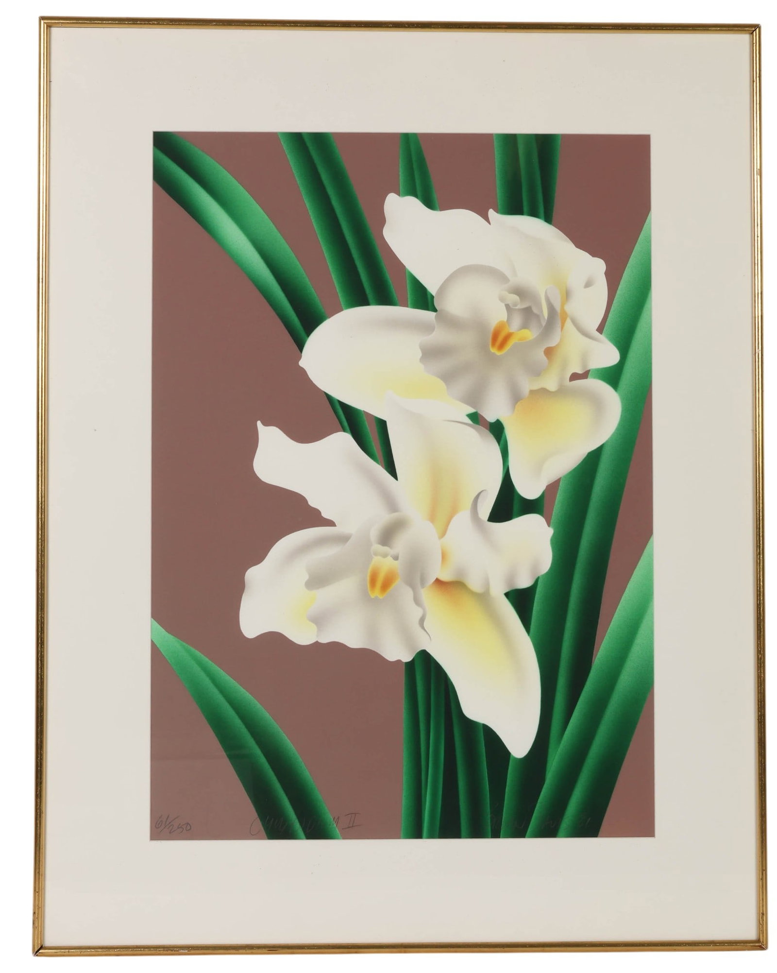 Brian Davis 20C White Flower Lithograph LE SIGNED (1 of 7)