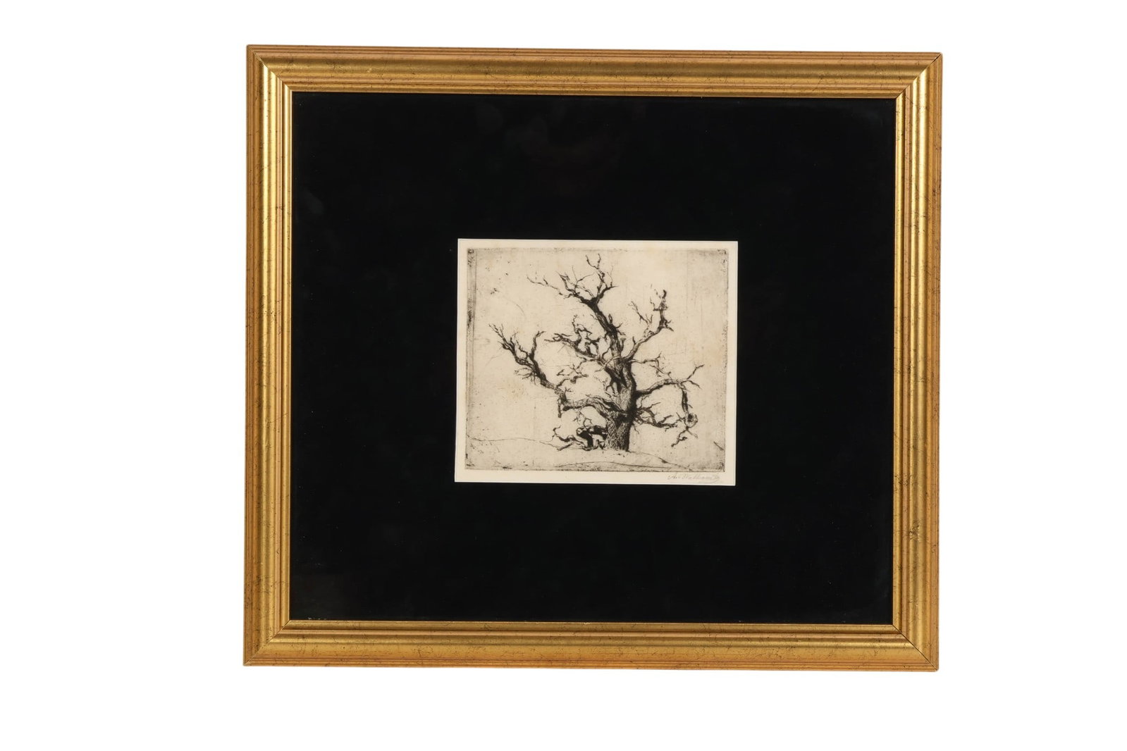 Abraham Walkowitz 1878-1965 Tree Etching SIGNED (1 of 6)