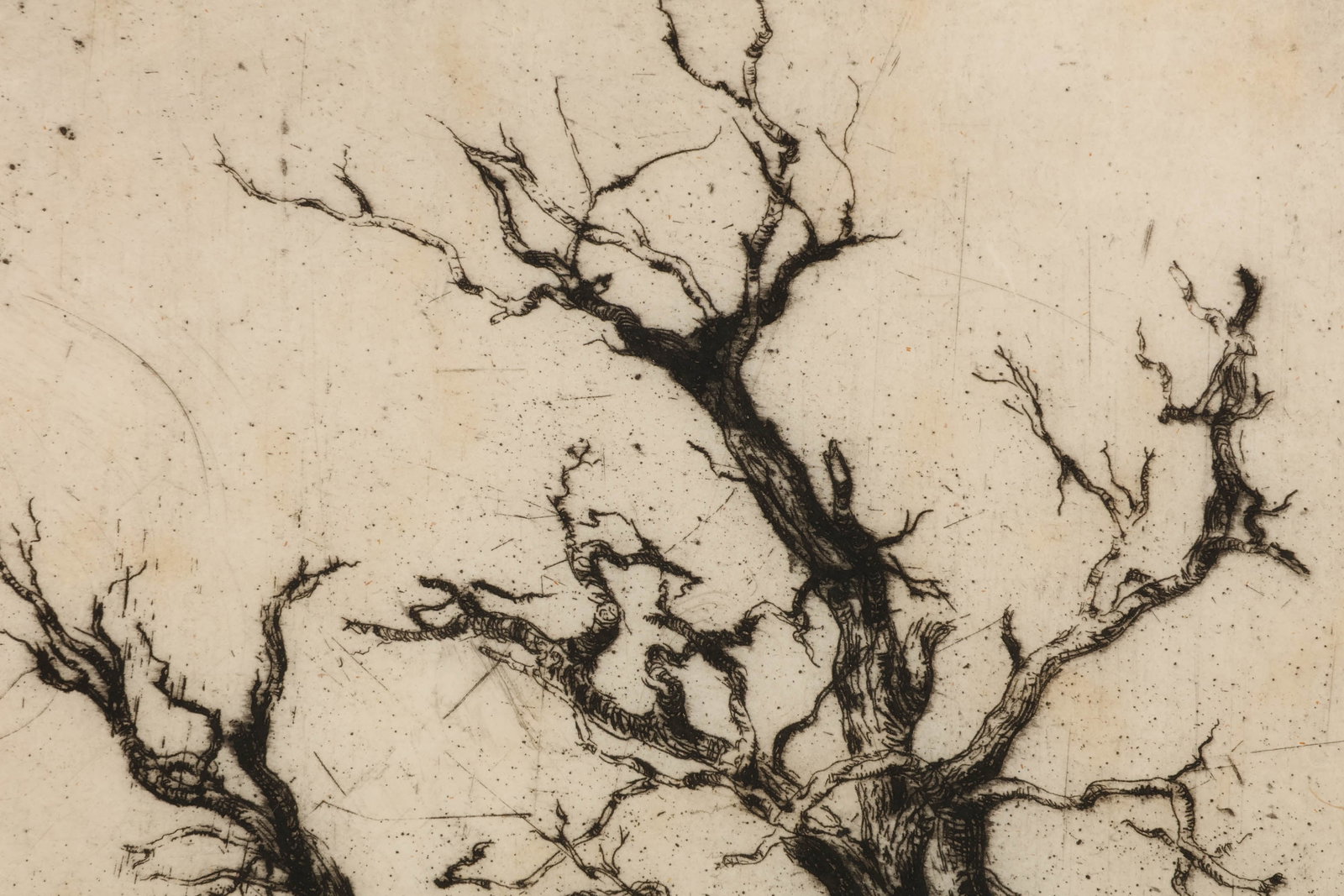 Abraham Walkowitz 1878-1965 Tree Etching SIGNED - 2
