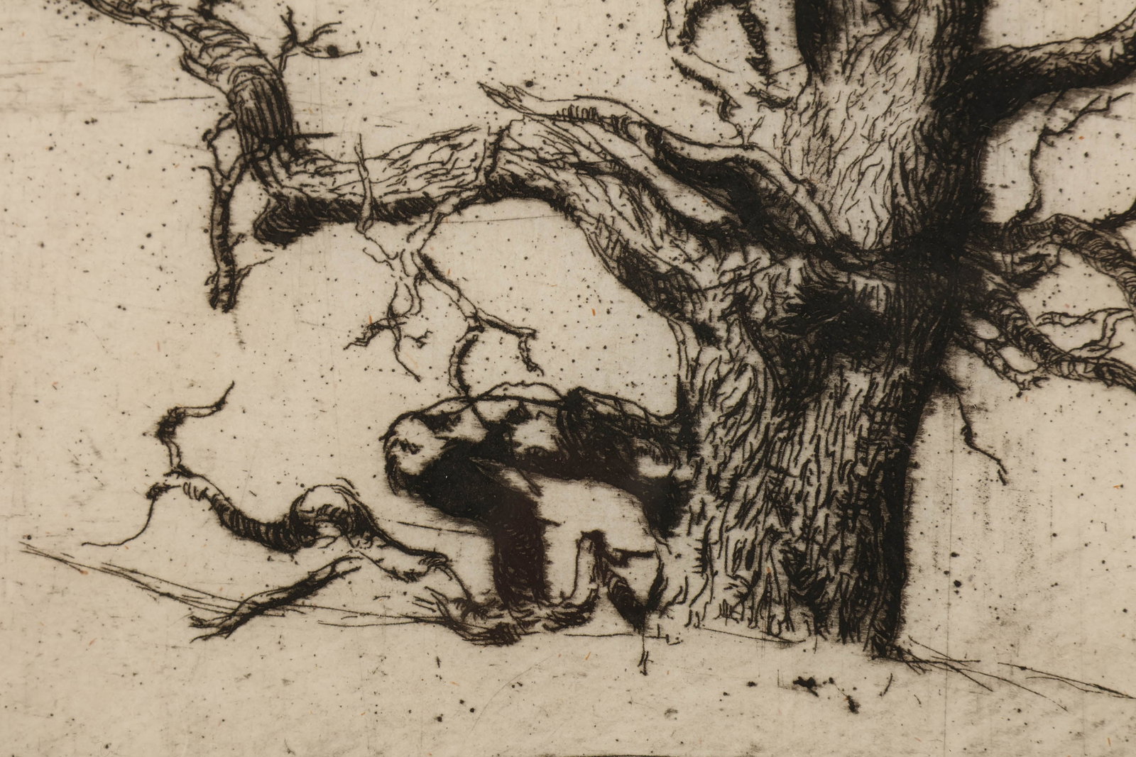 Abraham Walkowitz 1878-1965 Tree Etching SIGNED - 3