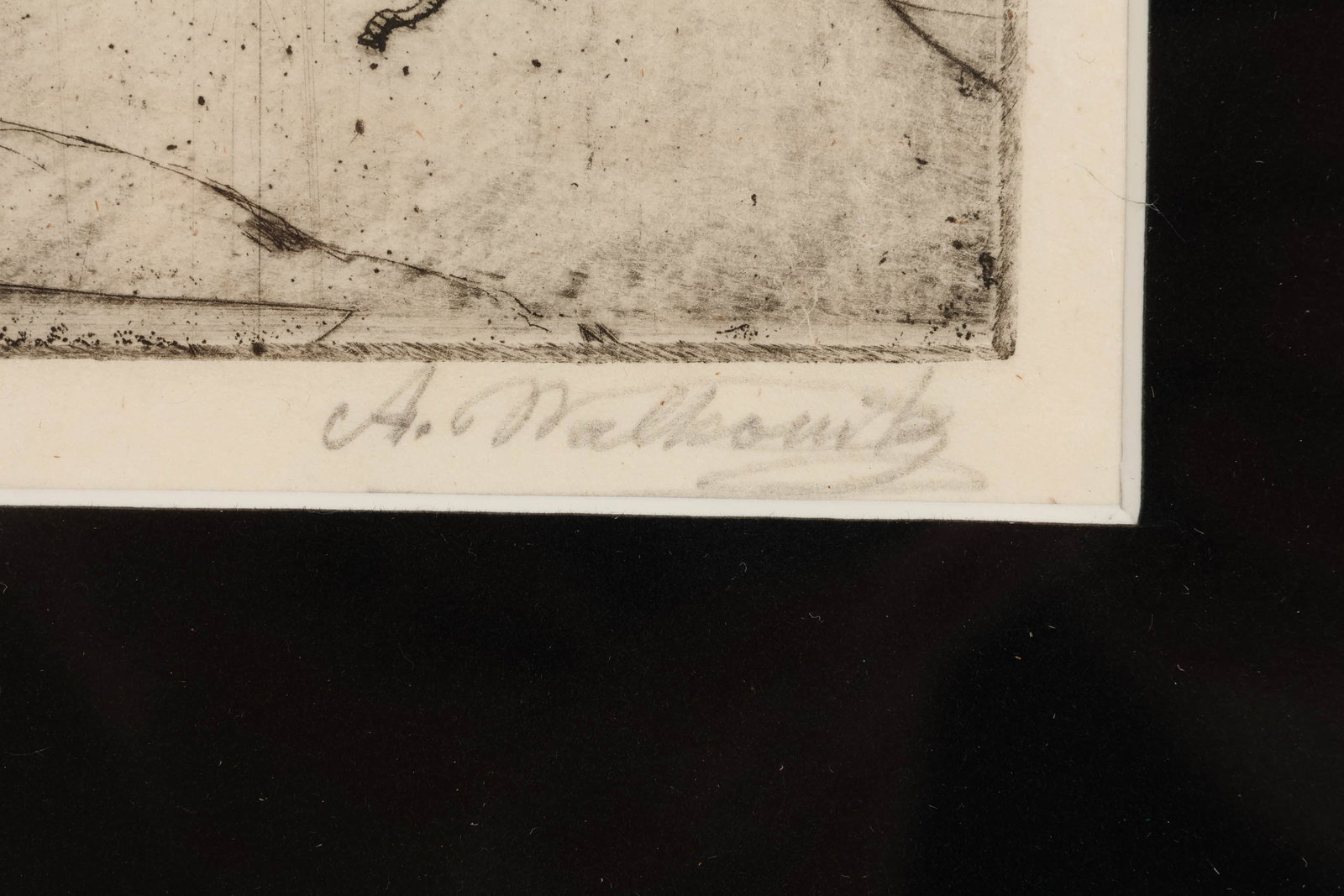 Abraham Walkowitz 1878-1965 Tree Etching SIGNED - 4