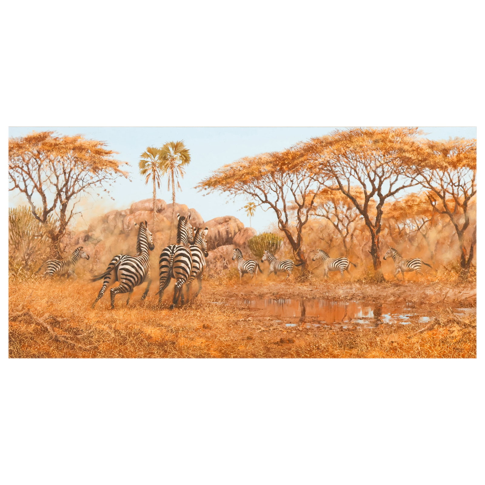 Michael Ghaui b.1950 Running Zebra Herd Painting: Michael Ghaui (African, born 1946), Zebras, oil on canvas depicting a herd of zebras gathered at a watering hole within an African savanna landscape. Signed and dated "M. Ghaui 1981" at the lower righ