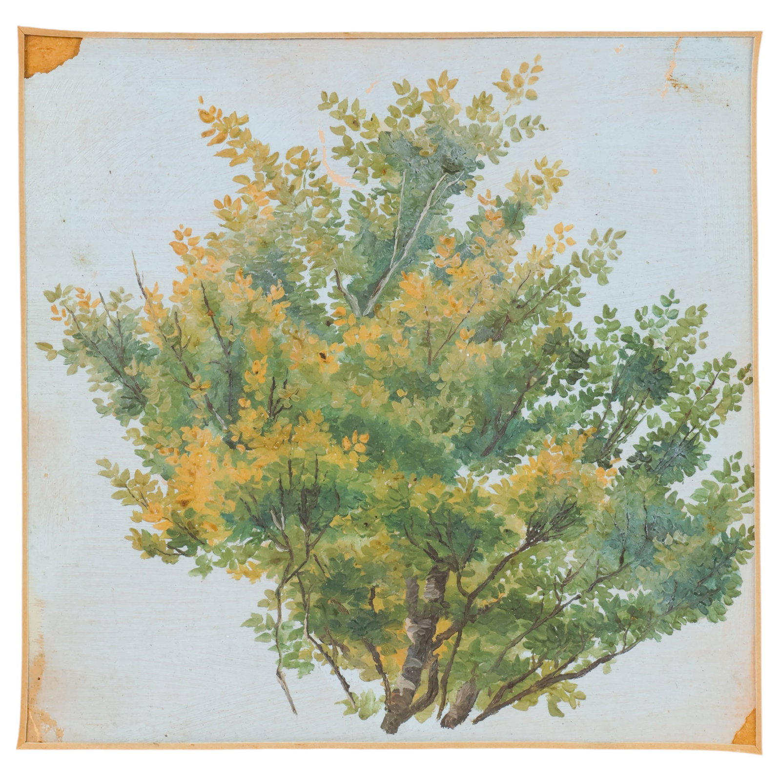 Arnold Bocklin 1827-1901 Botanical Study Painting (1 of 7)
