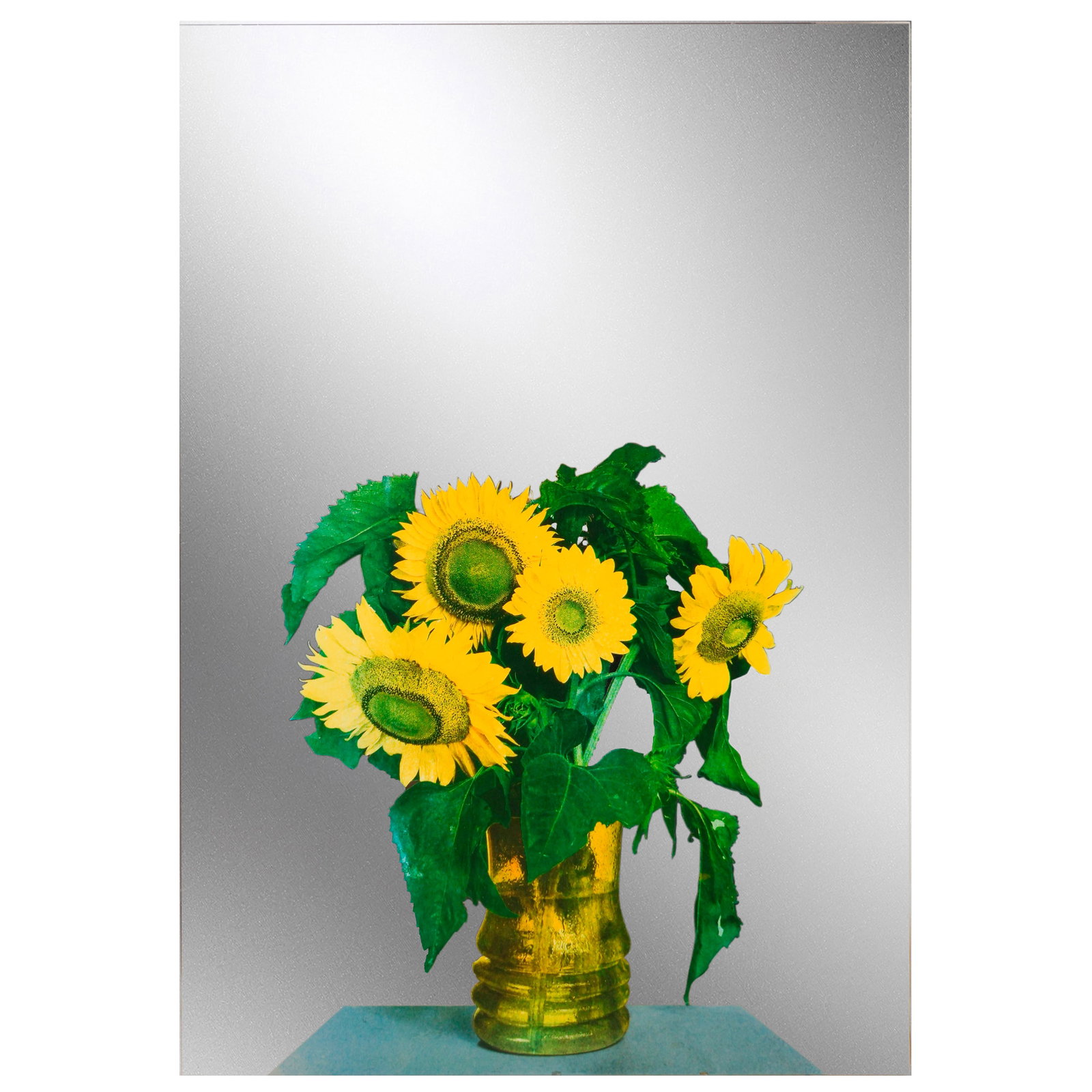 Michelangelo Pistoletto b1933 Still Life Sunflower (1 of 18)