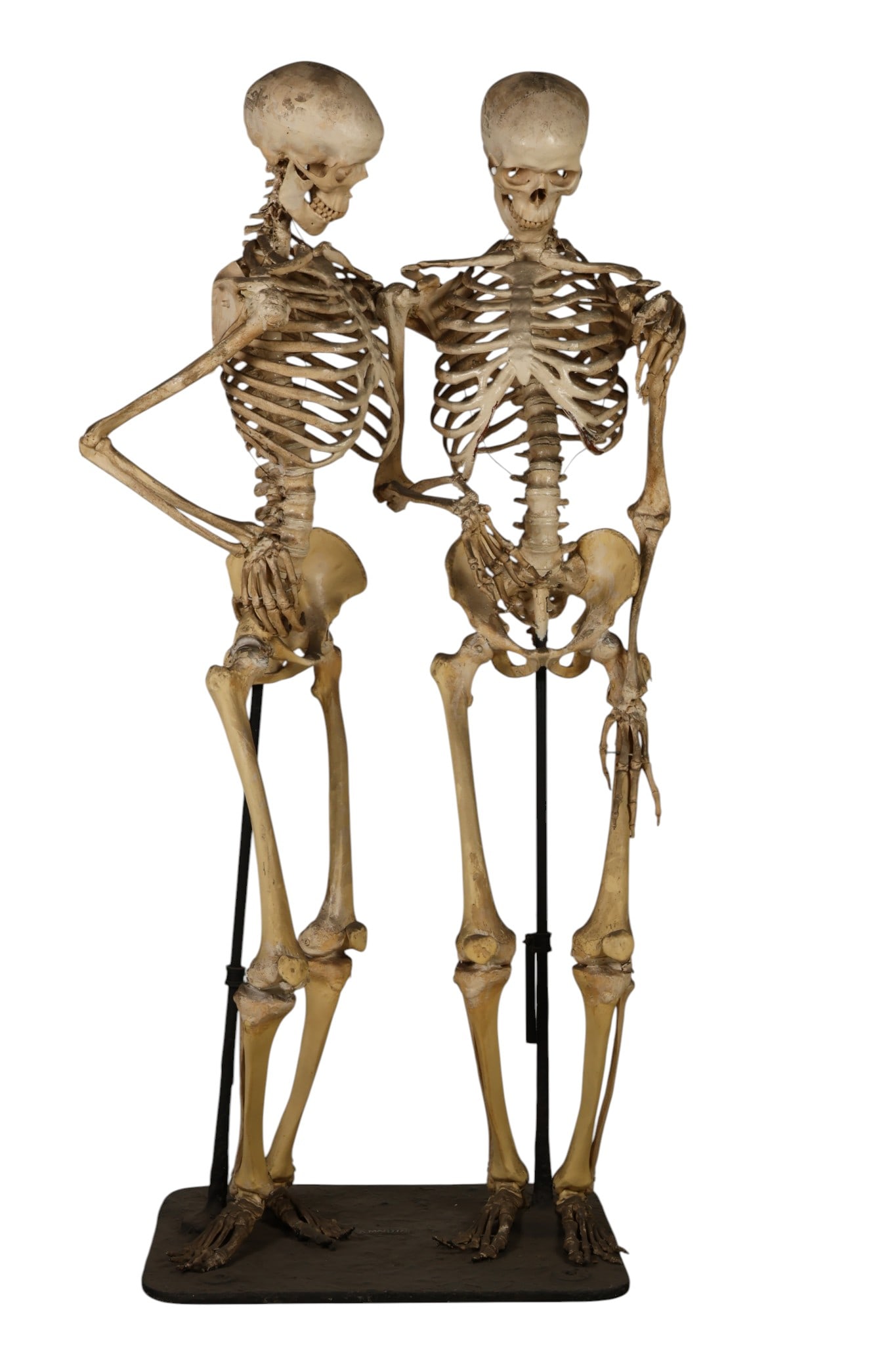 Alan Martin 20C Life-Size Macabre Skeleton Figures (1 of 6)