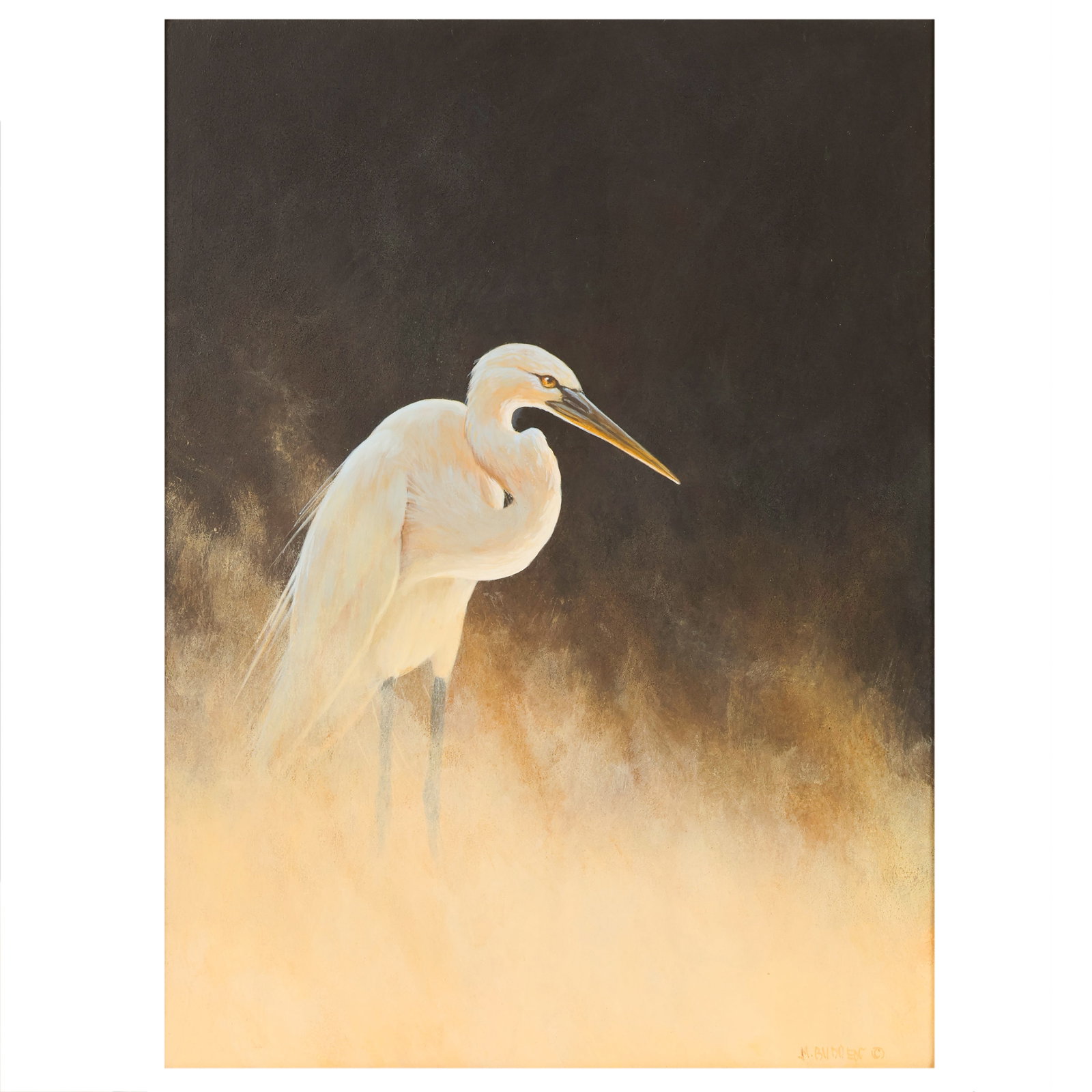 Michael Budden b.1957 Wading Great Egret Painting: Michael Budden (American, born 1957), oil on board depicting a Heron or great egret bird, emerging from the morning mist against a dark atmospheric background. Executed in the artist's signature reali