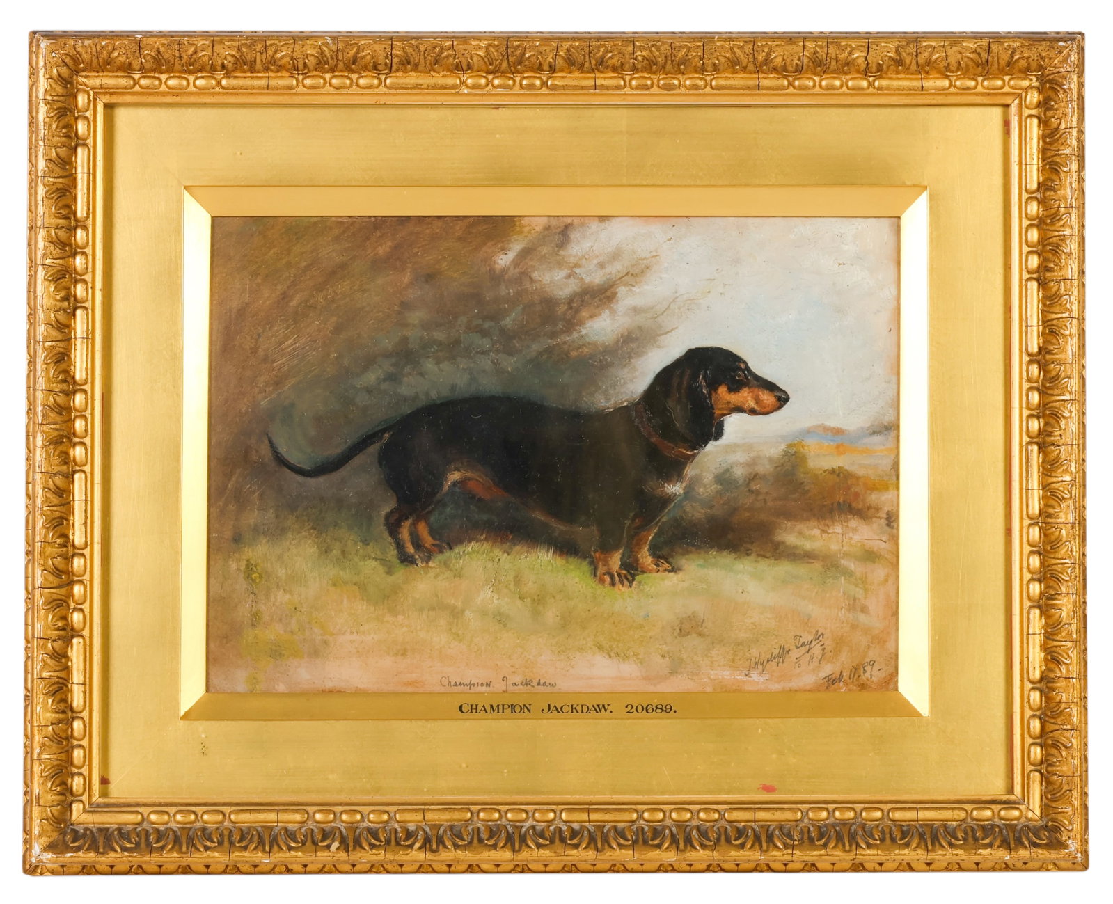 John W Taylor 1859-1925 Show Dachshund Painting: Attributed to John Wycliffe Taylor (British, 1859-1925), Champion Jackdaw, oil on board depicting the champion Dachshund "Champion Jackdaw" in profile, inscribed lower center "Champion Jackdaw." Prese