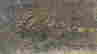 item-44237284=2