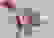 item-44237297=5