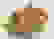 item-44237303=6