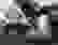 item-44237353=2
