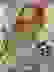 item-44237570=4