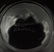 Lalique French Crystal Shell Form Compote Bowl - 7