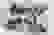 item-47565562=3