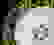 item-50733345=2