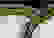 item-50733348=3