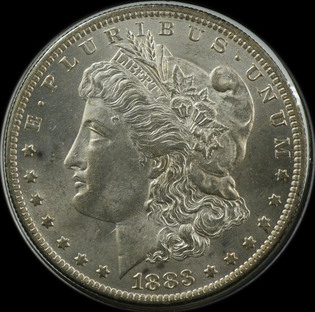 1883 Morgan Dollar O (1 of 2)