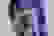 item-62975001=7
