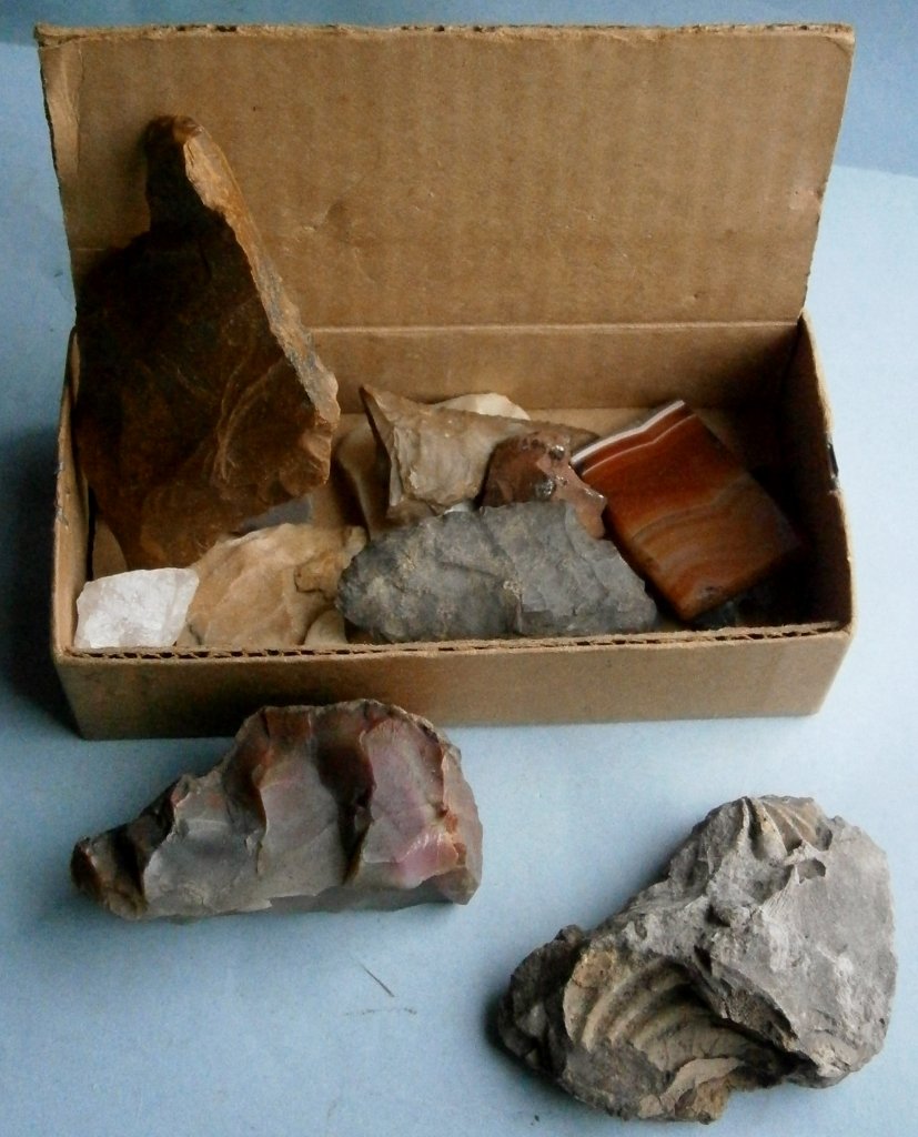 Assorted Flint Arrowheads and Miscellaneous fossil (1 of 7)