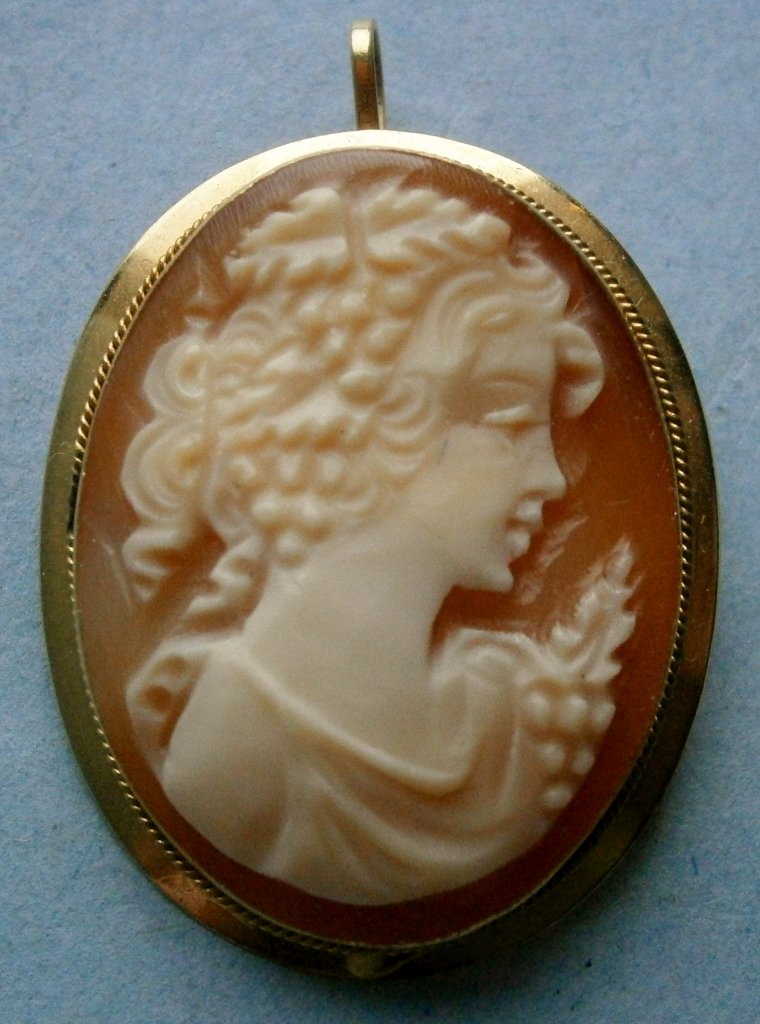 Vintage Shell Cameo Brooch in a 14K Gold Frame (1 of 4)