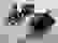 item-51897203=4