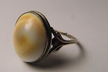 Antique Victorian Silver Operculum Ring sz 7: Good antique condition. Professionally split band. Size 7.