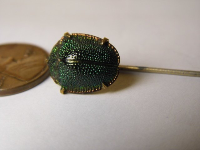 Rare Beauty Iridescent June Bug or Scarab Stick Pin (1 of 6)