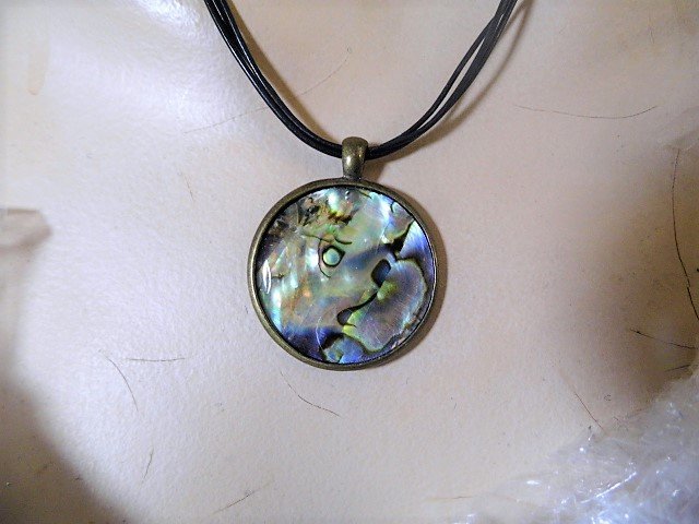 Kenneth Cole Abalone Shell Medallion Pendant Necklace: 20 inch leather chain. Beautiful shell specimen.
