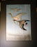 Ohara Koson Woodblock Print Geese in Flight