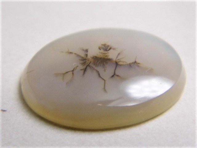 Unique British Antique Stone Medallion Petrification: Beautiful stone for mounting. Milky translucent color with what appears to be moss or foliage entombed.