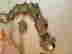 item-118403578=4