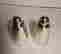 item-119834207=2
