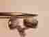item-120873871=2