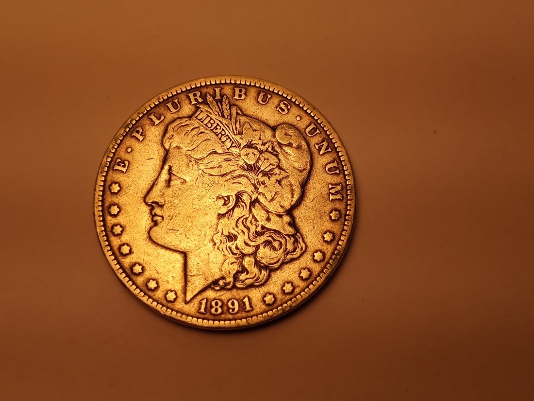 1891 Morgan Silver Dollar (1 of 4)