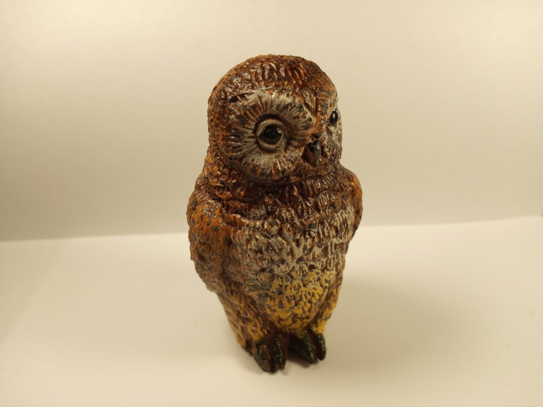 Cold Painted Bronze Owl (1 of 7)