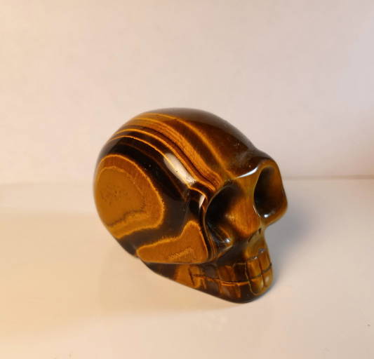 Memento Mori Vintage Tiger Eye Skull