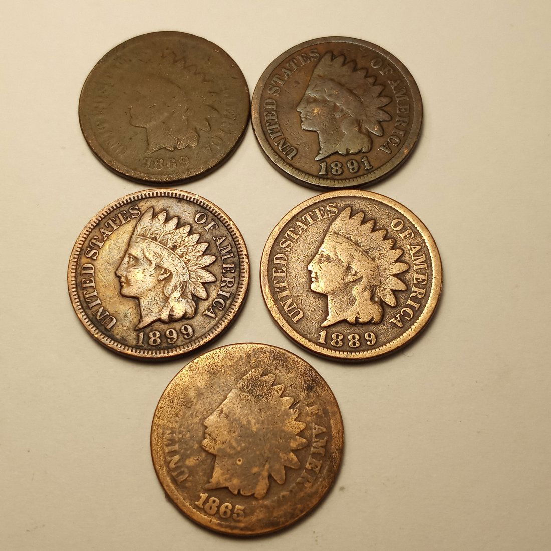 Five 1800's American Indian Head Pennies (1 of 4)