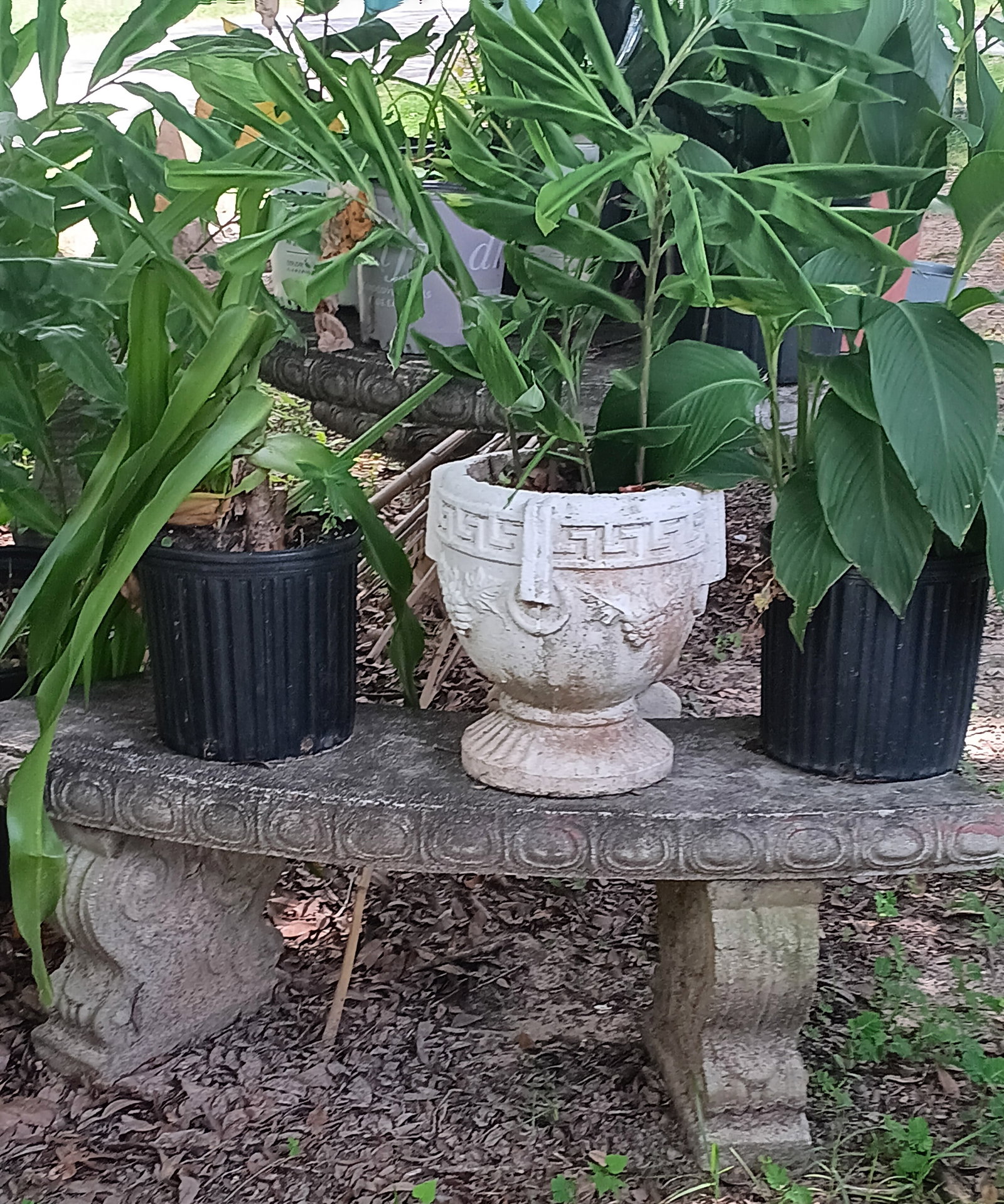 Antique Grecian Style Concrete Flower Pot w/ Plant (1 of 1)