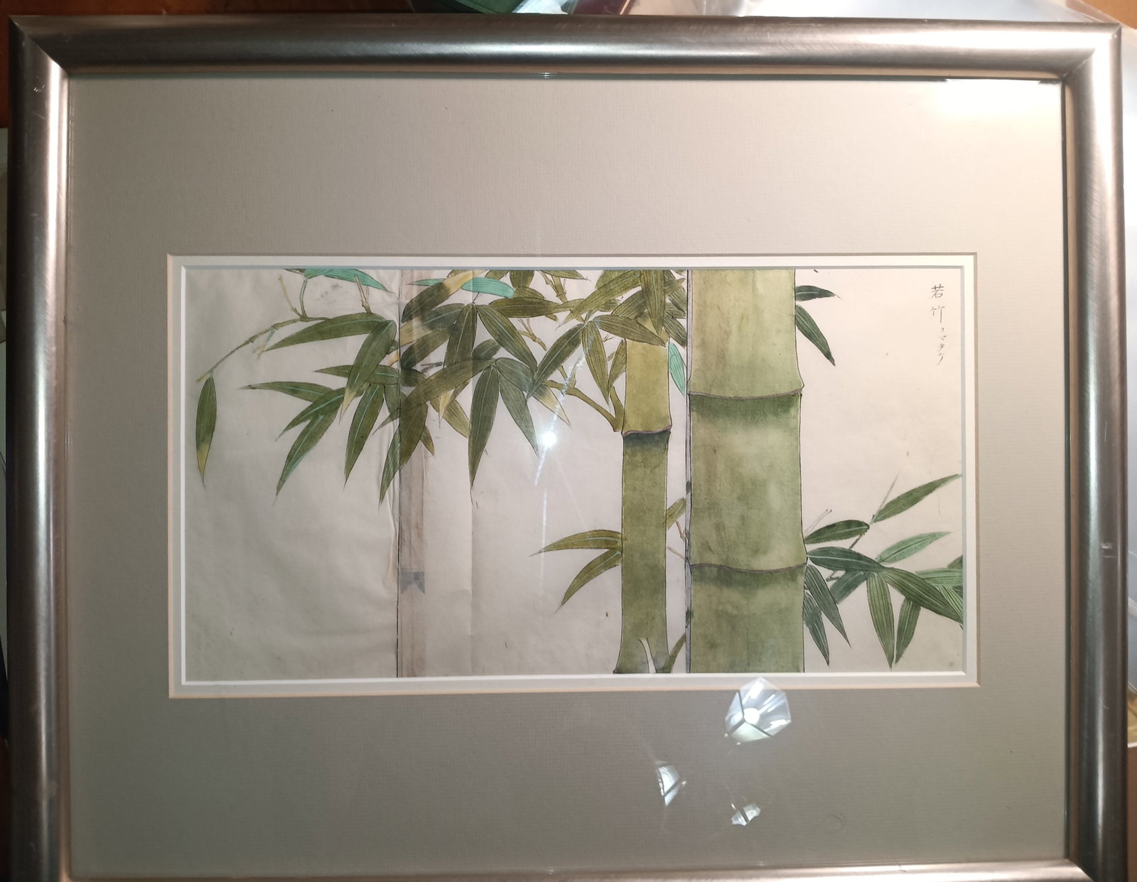 Beautiful Original ca 1900 Japanese Watercolor Bamboo Study (1 of 6)