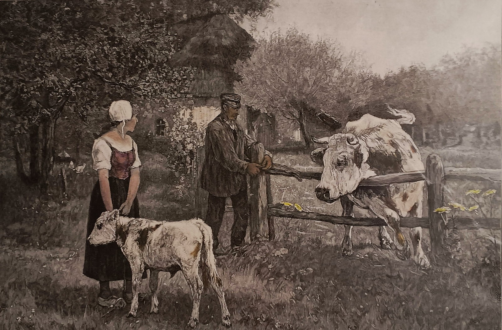 Antique Woodcut Engraving from Painting by Otto von Thoren 1828-1889 Germany: Title 'Abschied', meaning separation. The cow's calf is being removed, possibly being weaned away from her. Woodcut by Richard Bong 1853-1907. Nicely framed in embossed whole wood, quadruple mat. Meas