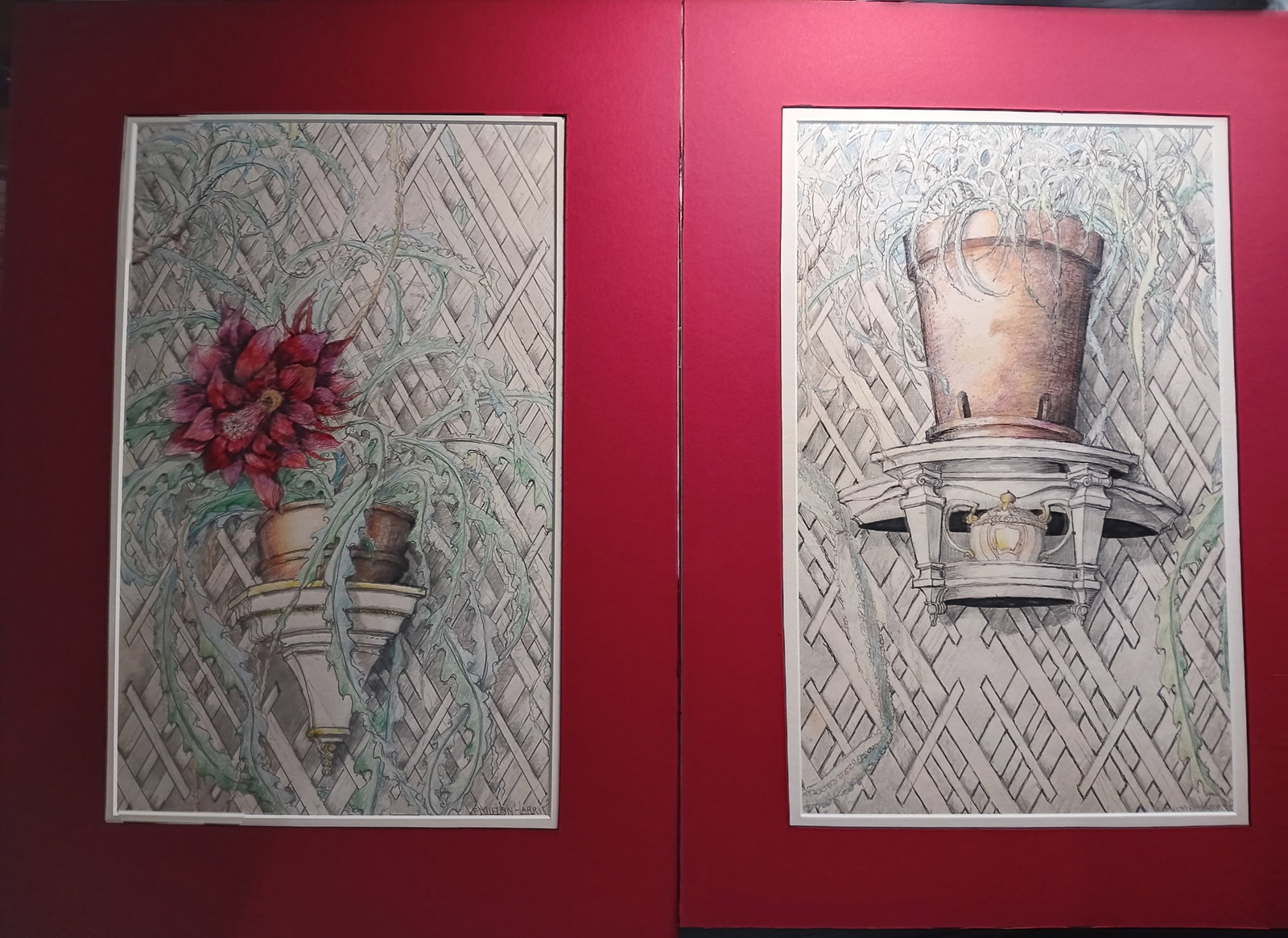 Pair of Finely Executed Pen and Ink Drawings Bromiliads on Lattice Fence (1 of 7)