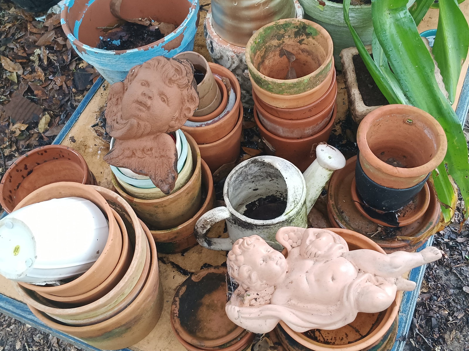 Whole Lot of Terra Cotta Flower Pots and Accessories and other Garden Things (1 of 1)