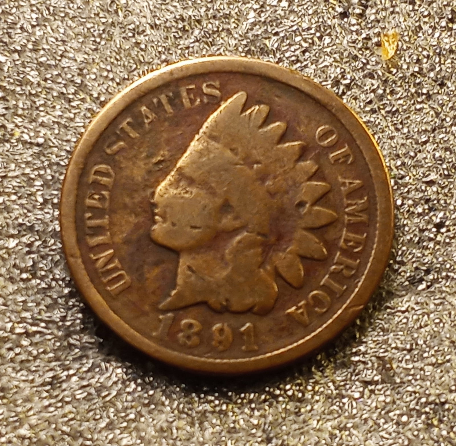 1891 Indian Chieftan Head Penny: Ungraded.
